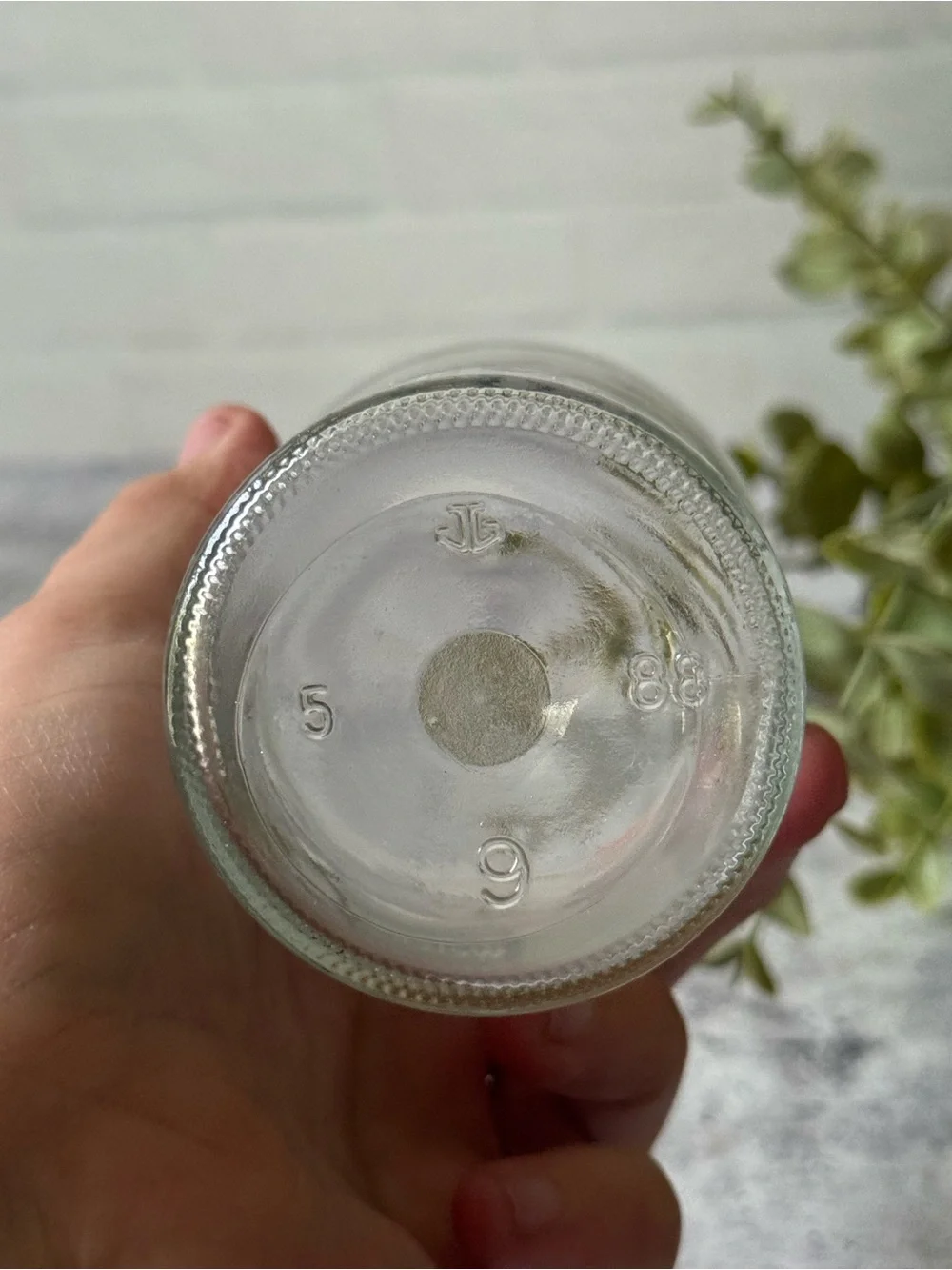 Vintage 1988 Dinosaur pterodactyl Welch's Glass Jam Jar 80s